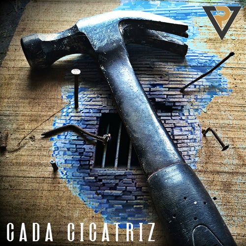 Cada cicatriz