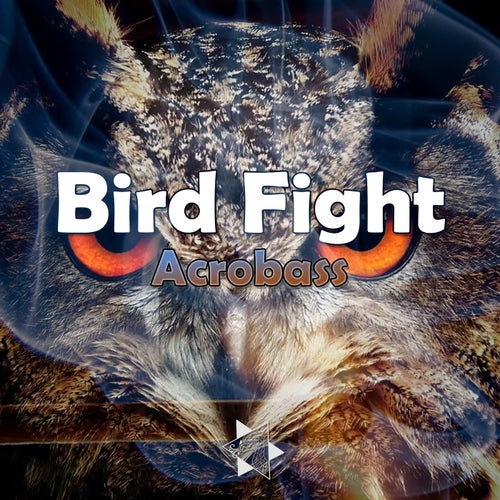 Bird Fight