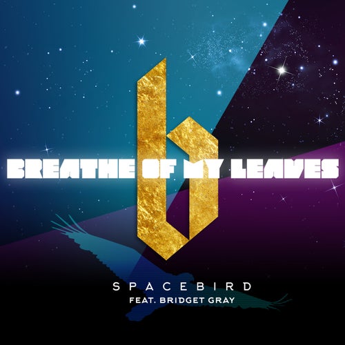 Spacebird