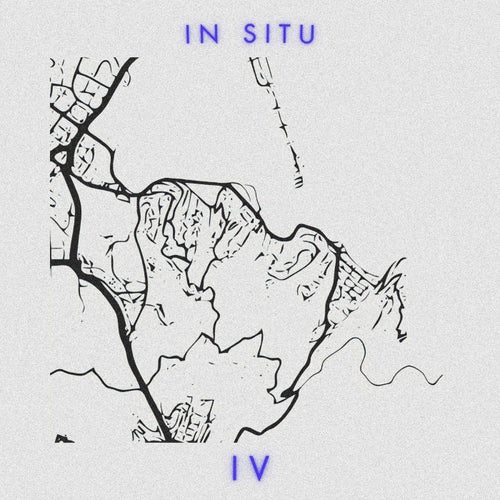 In Situ: IV