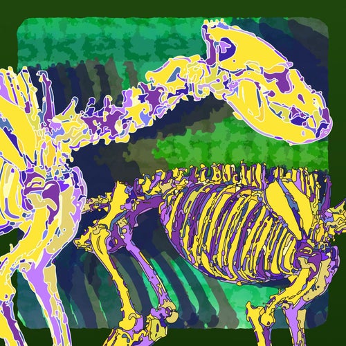 Skeletons on grass
