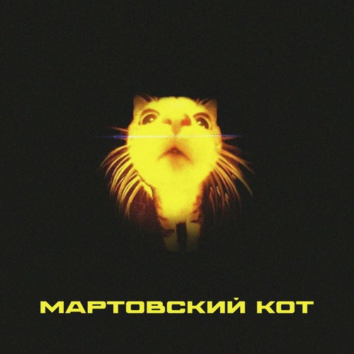 Мартовский кот