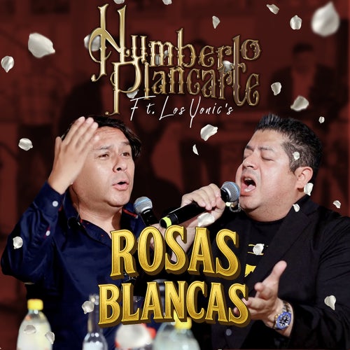 Rosas Blancas (En Vivo)