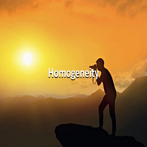 Homogeneity
