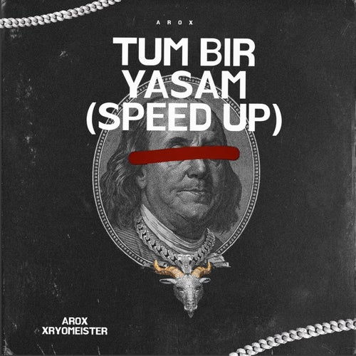 Tüm Bir Yaşam (speed up)