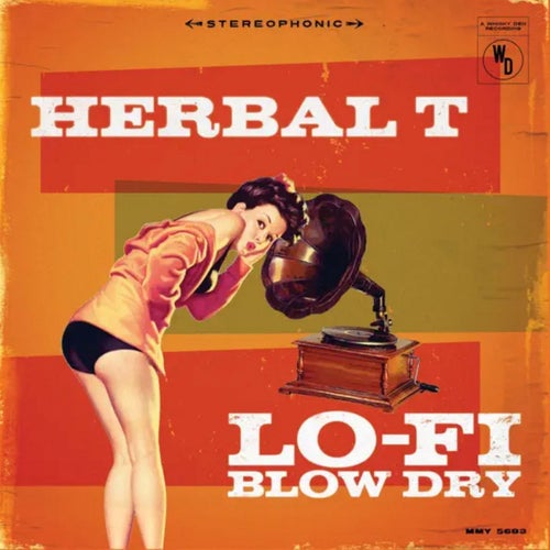 Lo-Fi Blow Dry