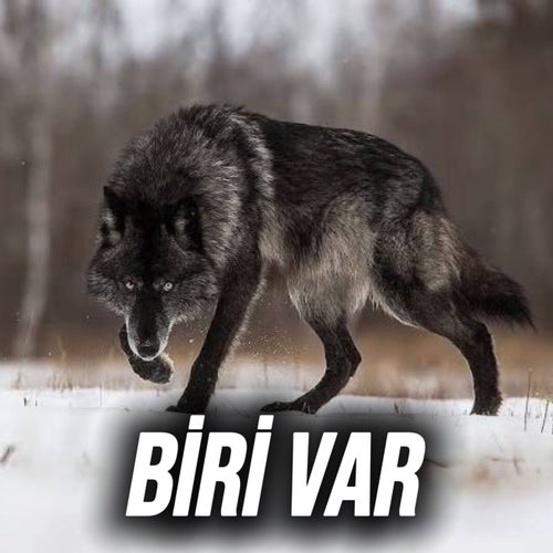 BİRİ VAR