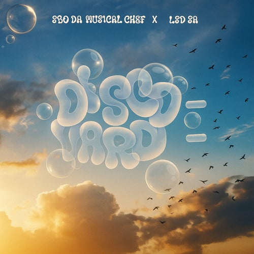 DISCO’VARD (117)