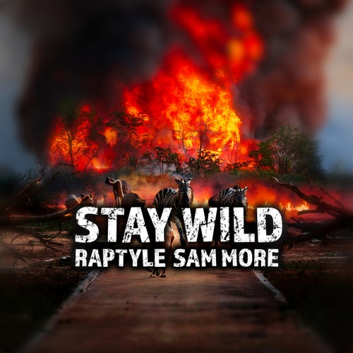 STAY WILD