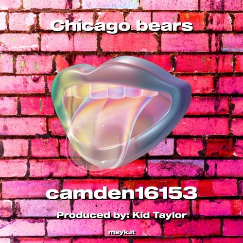 Chicago bears