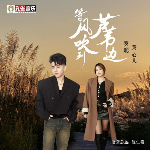 等風吹到蘆葦邊
