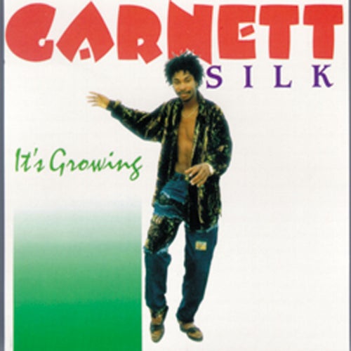 PLACE IN YOUR HEART / Garnet Silk - その他