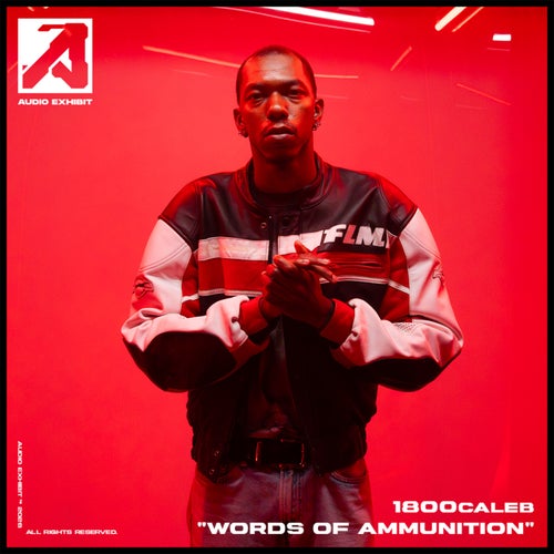words of ammunition (Audio Exhibit Live Performance)
