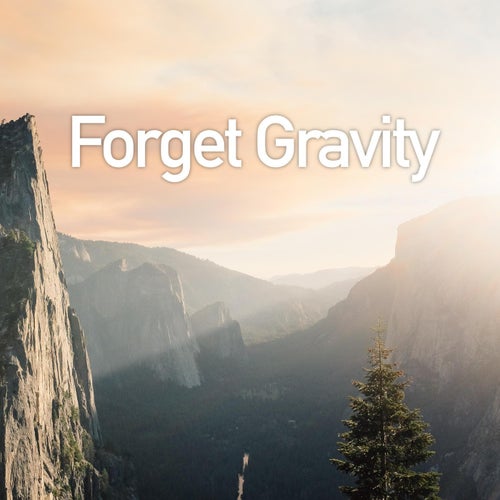 Forget Gravity II