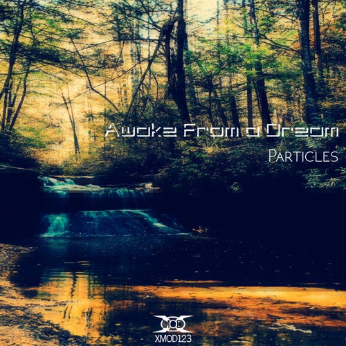 Particles