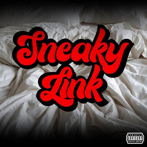 Sneaky Link