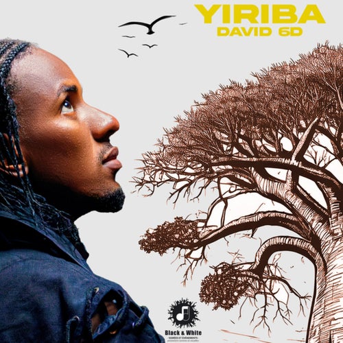 YIRIBA