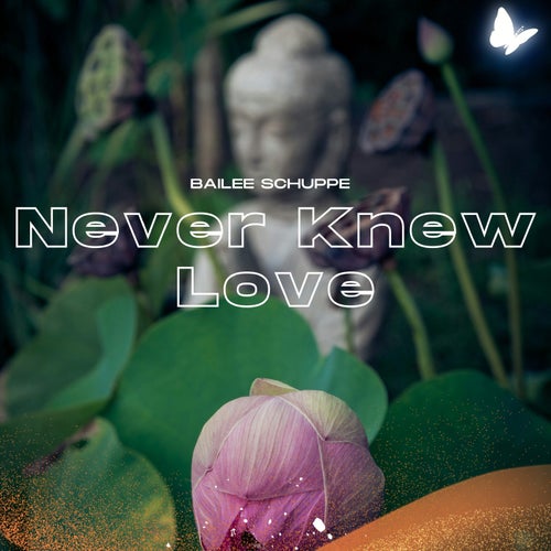 Never Knew Love