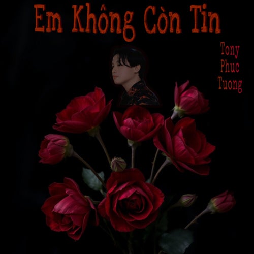 Em Không Còn Tin