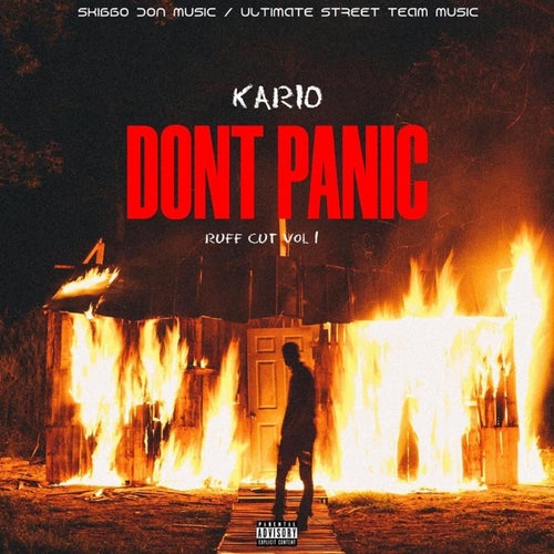 Don't Panic