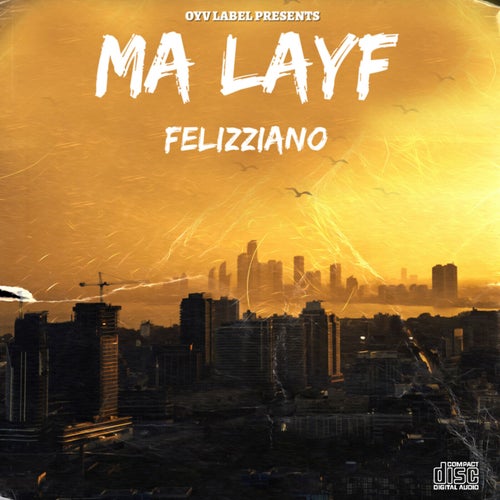 MA LAYF