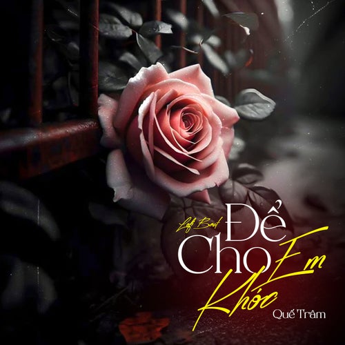 Để Cho Em Khóc (Beat) (Lofi Mix)