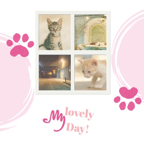 My lovely day!