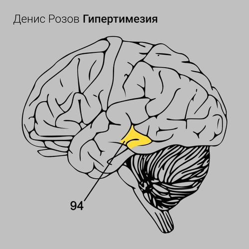 Гипертимезия 94