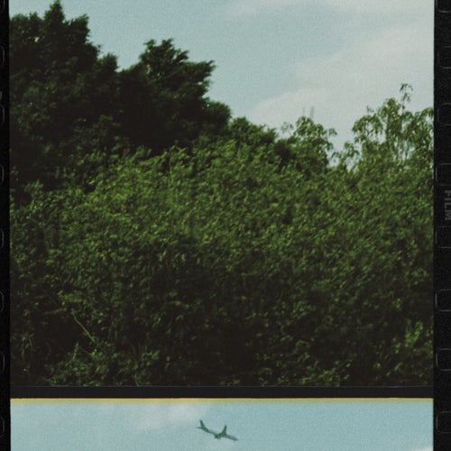Release of the week