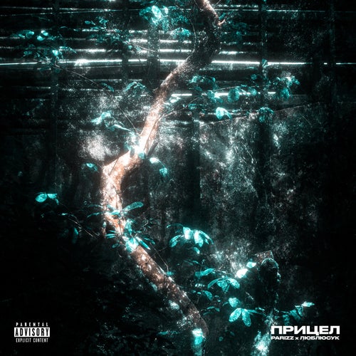 Release of the week