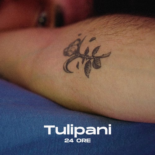 Tulipani