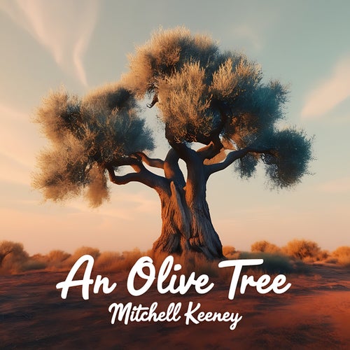 An Olive Tree