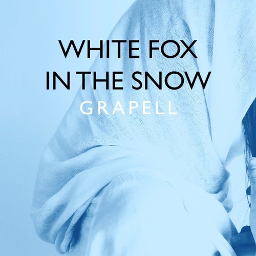 White Fox in the Snow