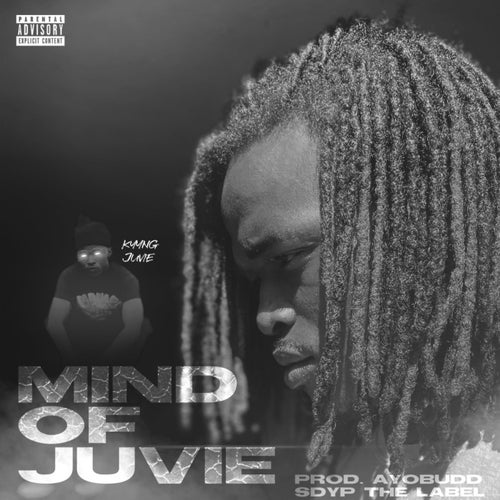 Mind Of Juvie