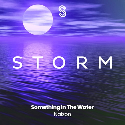 Something In The Water (Radio Edit)