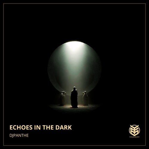 Echoes in the dark