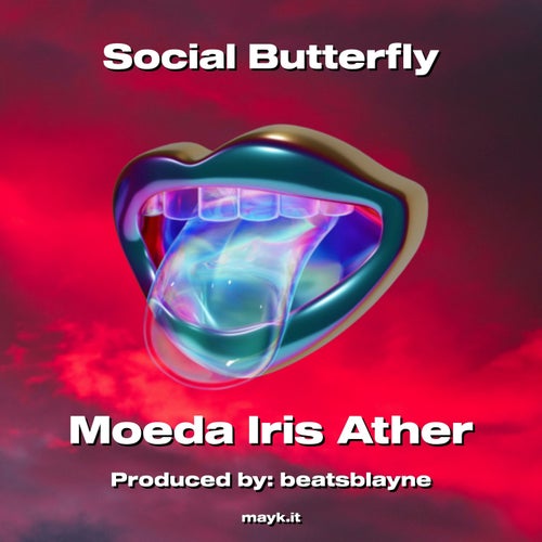 Social Butterfly