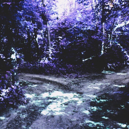 InBetween