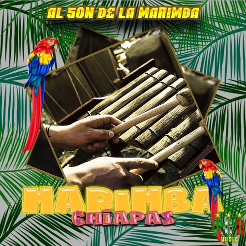 Al Son De La Marimba