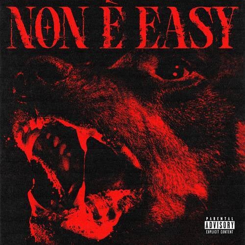 Non è Easy by Shiva on Beatsource