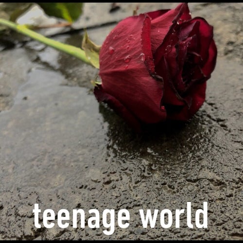 Teenage World