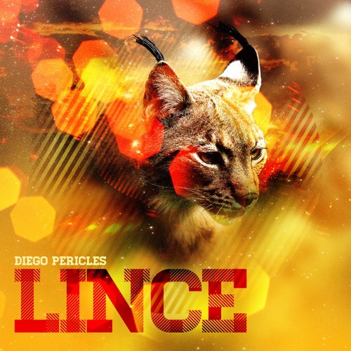 Lince