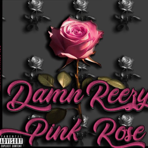 Pink Rose