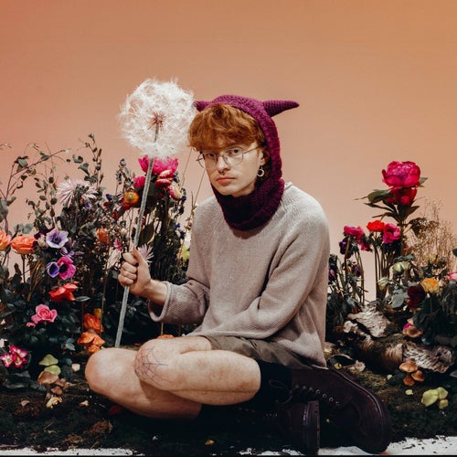 Cavetown Profile