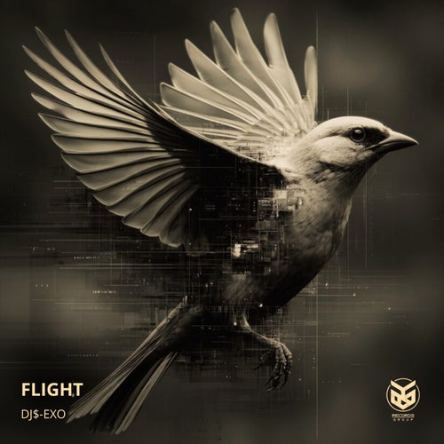 Flight
