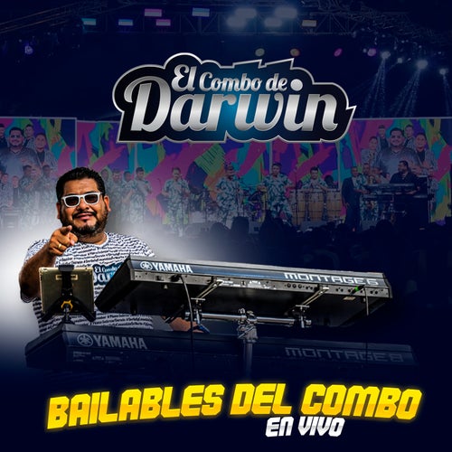 BAILABLES DEL COMBO (en vivo)