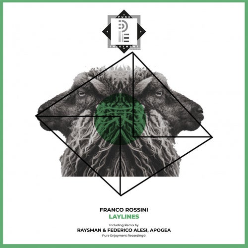 Laylines (RaysMan, Federico Alesi Remix, Apogea Remix)