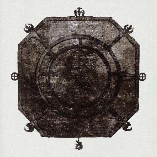 Winter, A Wilted Flower