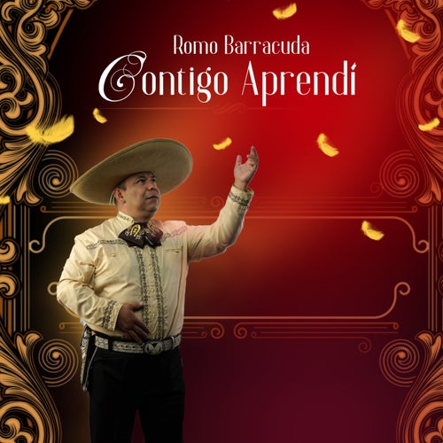 Contigo Aprendi