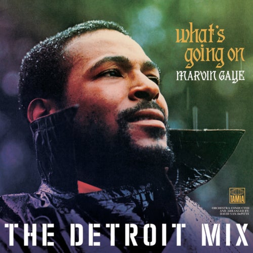 What's Going On: The Detroit Mix